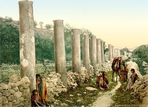 サマリアのローマの列柱通り、1880〜1900年頃（フォトクロム） 作： Swiss Photographer